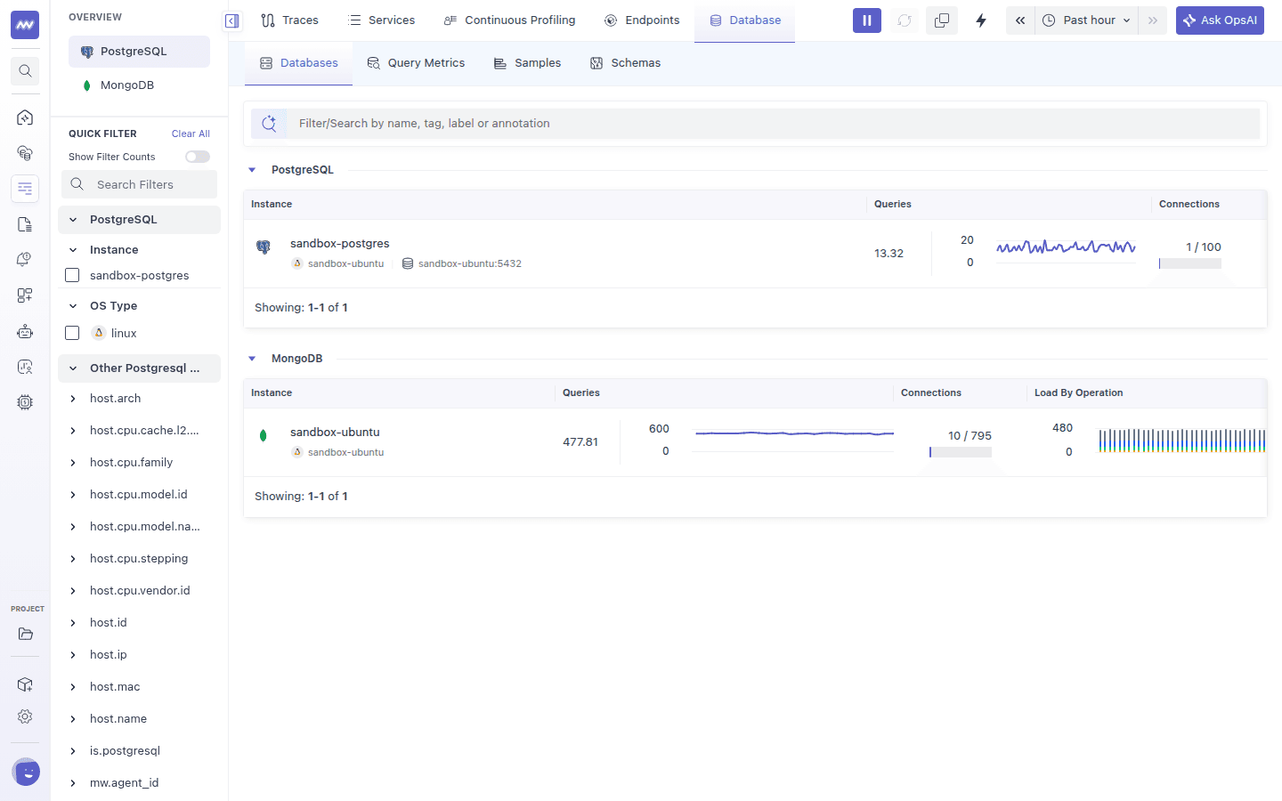 Database Monitoring Databases tab listing a PostgreSQL instance and a MongoDB instance with queries, connections and load