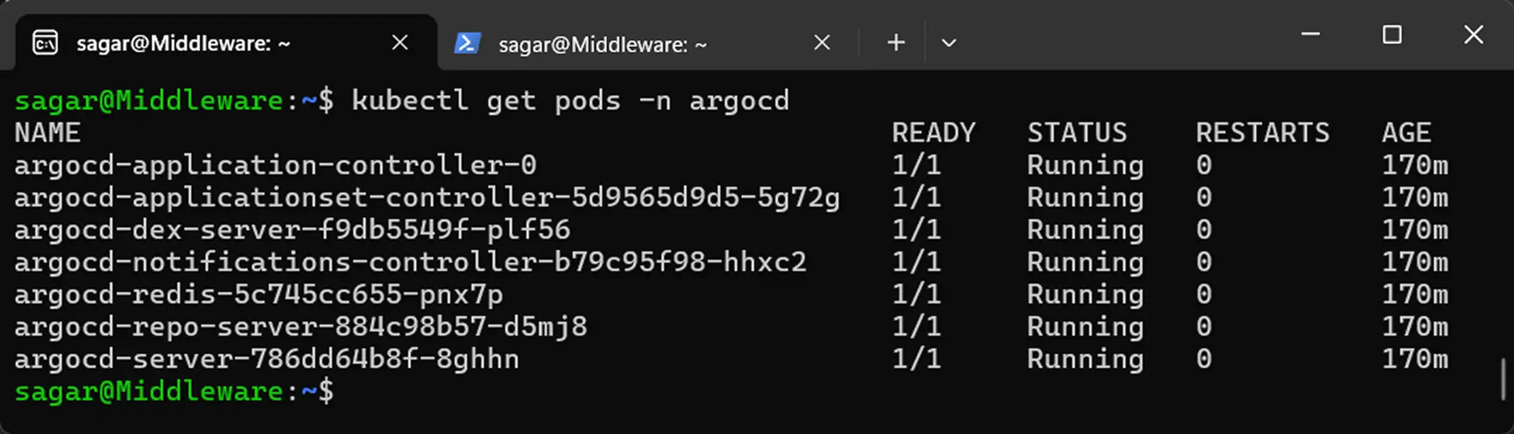 Kubernetes Agent Config Argo CD