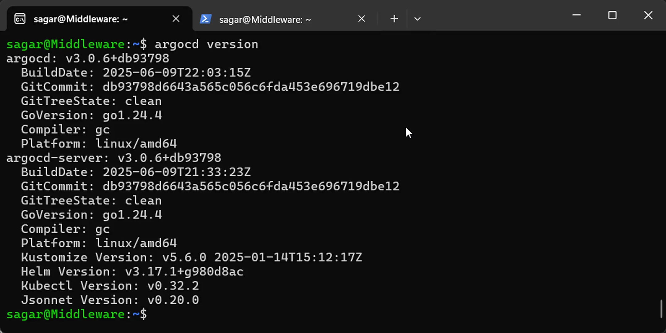 Kubernetes Agent Config Argo CD