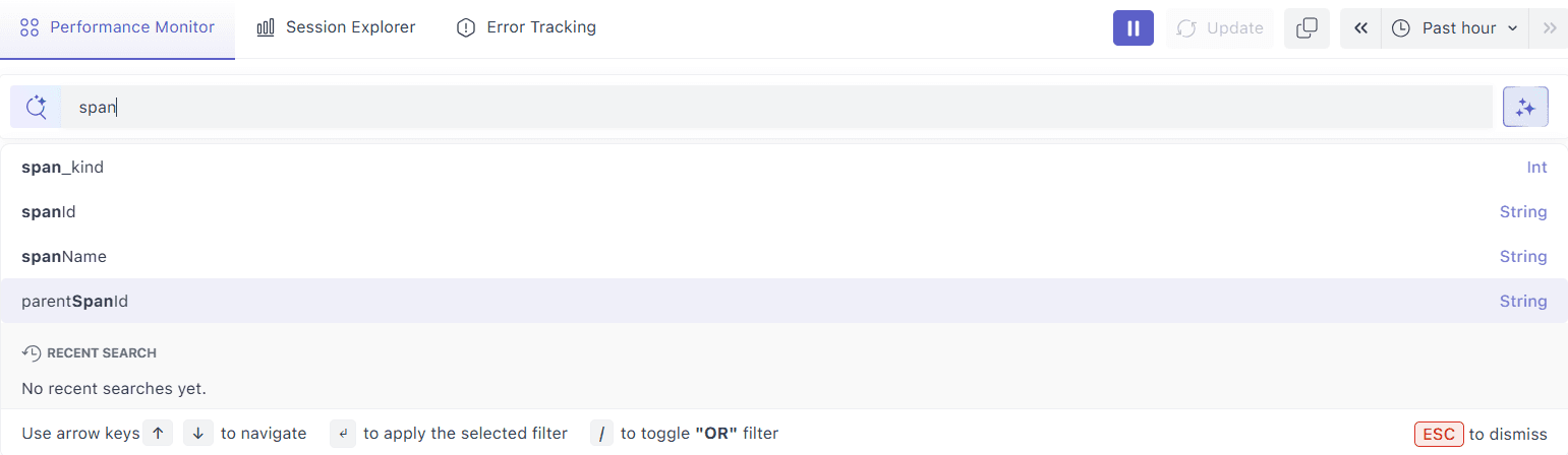 Search bar to filter RUM performance data by keywords or criteria