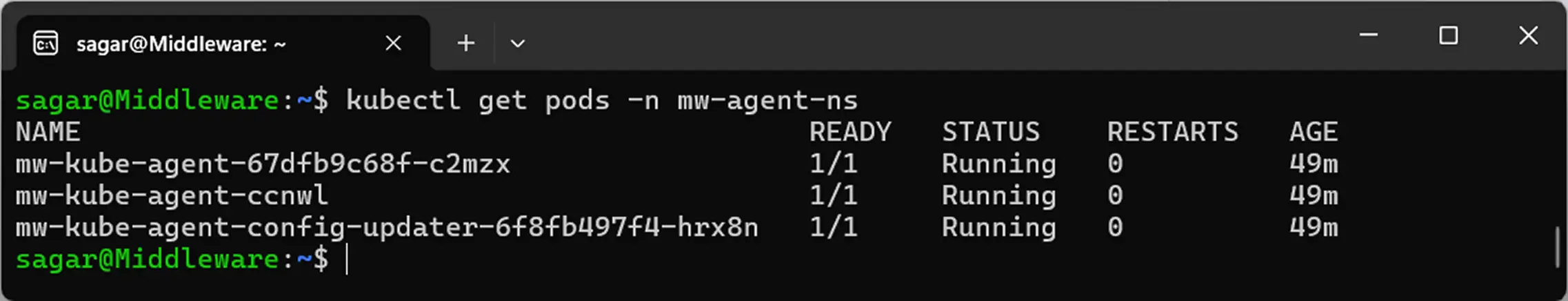 Kubernetes Agent Config Argo CD