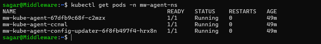 Kubernetes Agent Config Argo CD