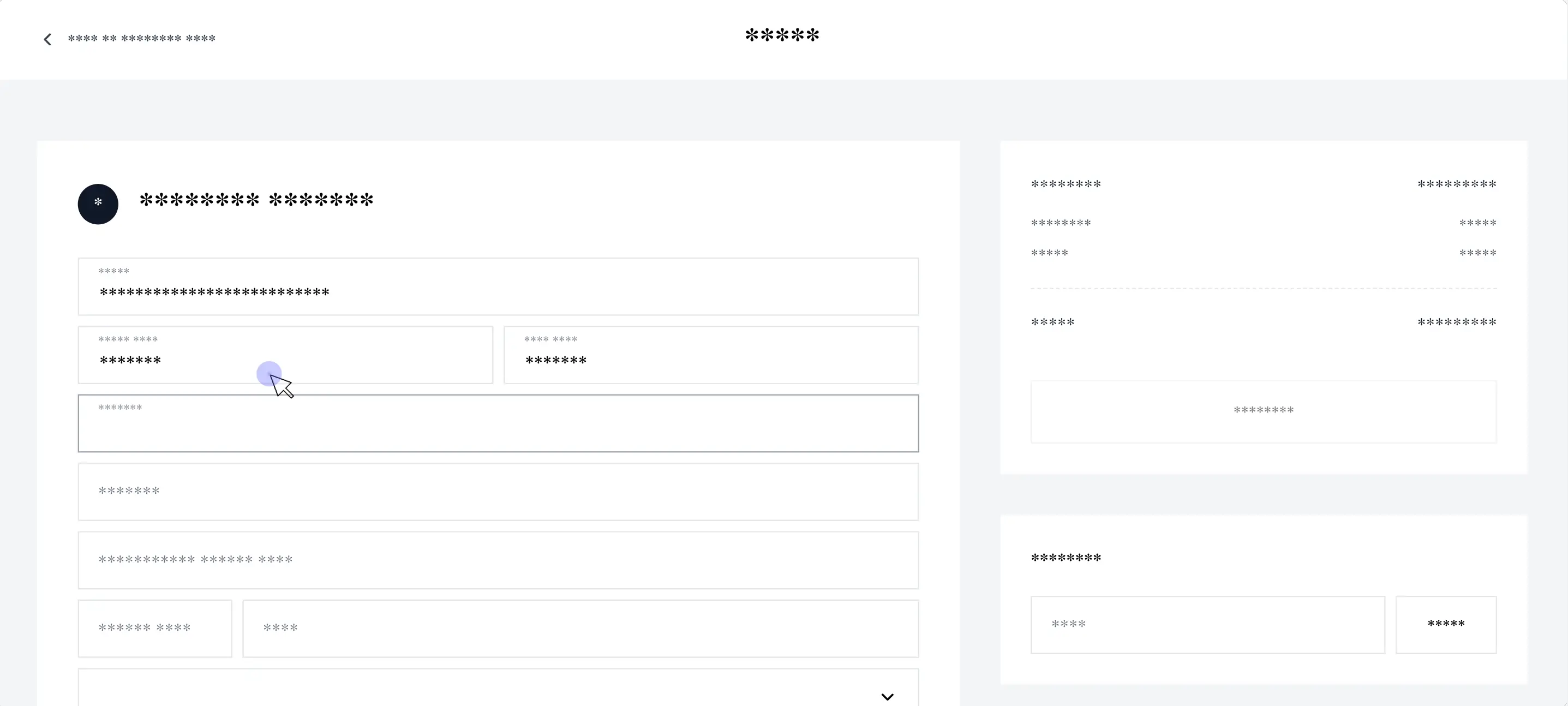 Illustration of all user input fields masked for data security